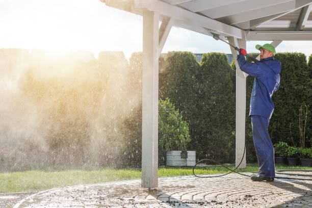 Best Gutter Cleaning  in Sarand, AL